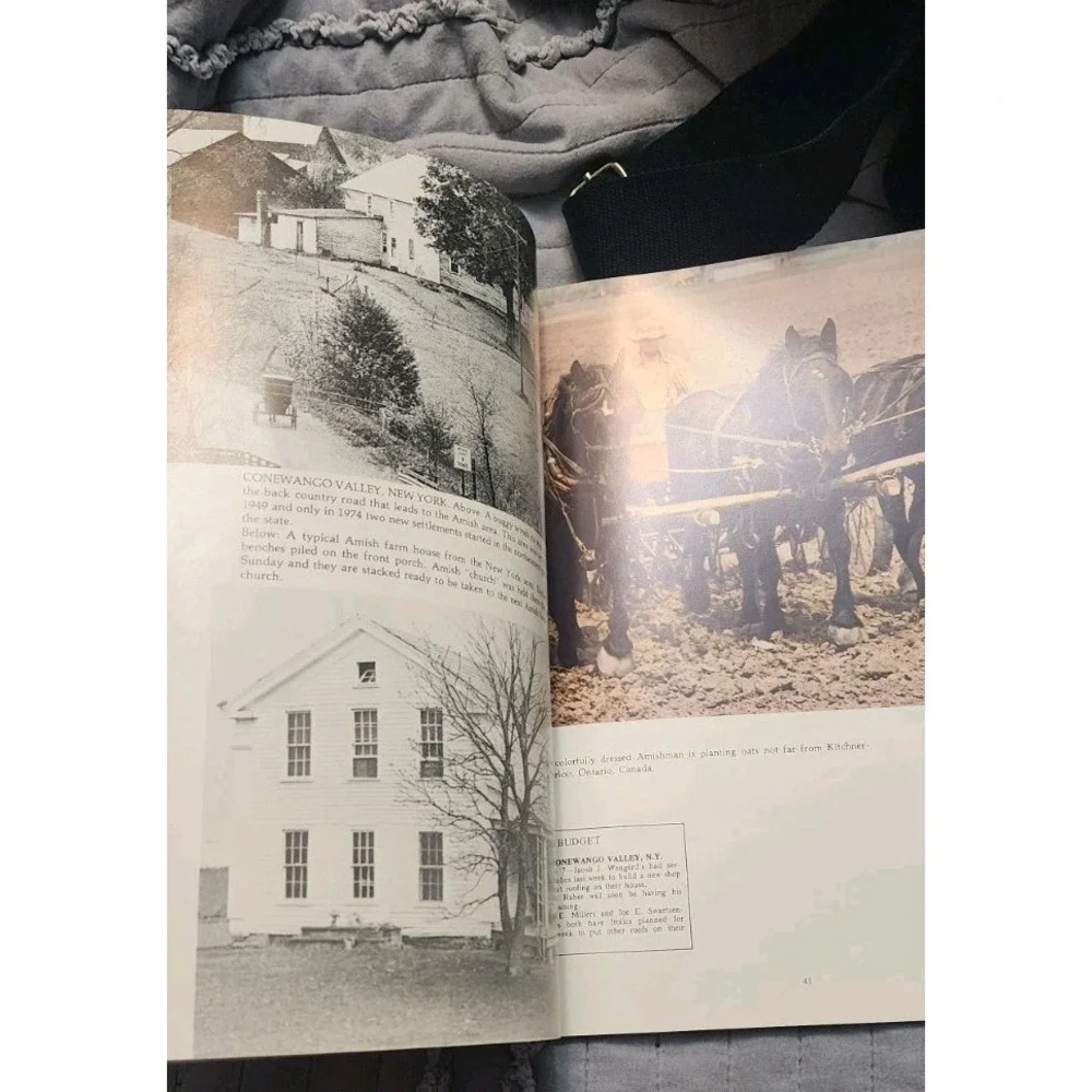 Collection of America's Amish Country Lot Of 2 Books Vtg The Amish Across Americ